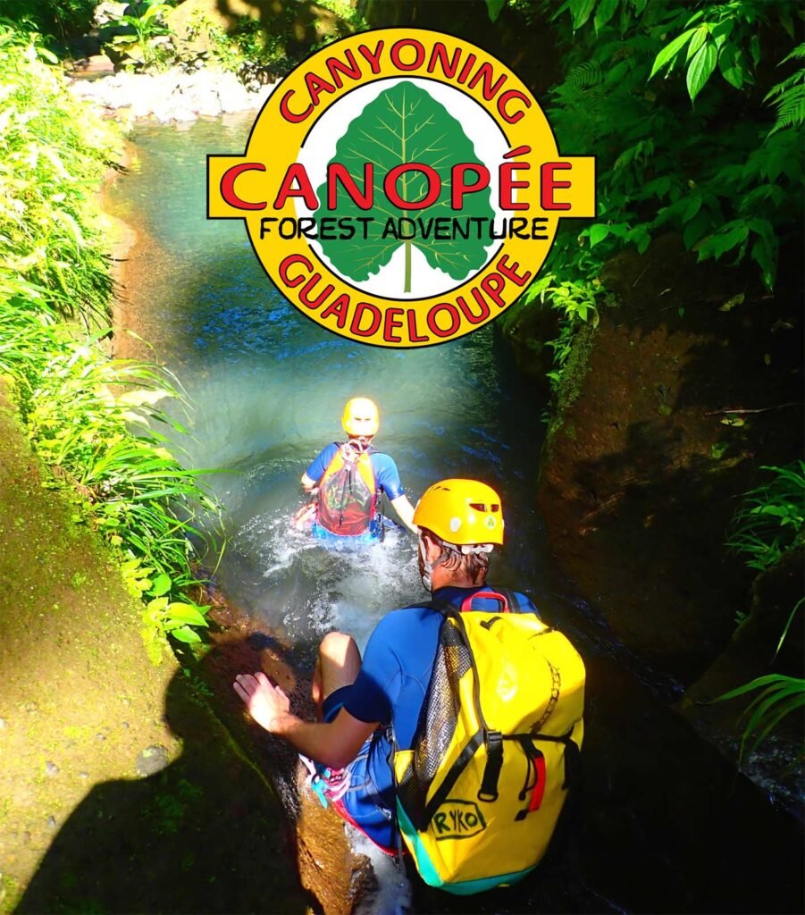 Partenaire : Canopée Guadeloupe