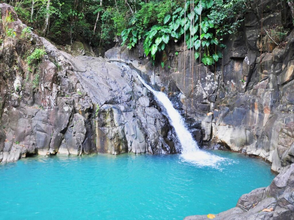Saut d'Acomat Pointe-Noire - Gîtes L'Ilot Palmiers