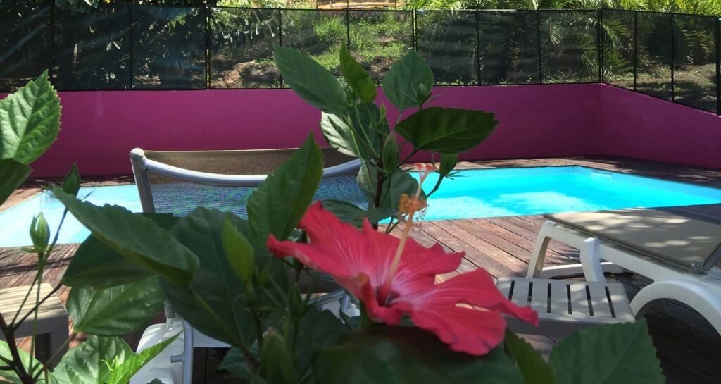 Gîte L'ilot Palmiers Guadeloupe