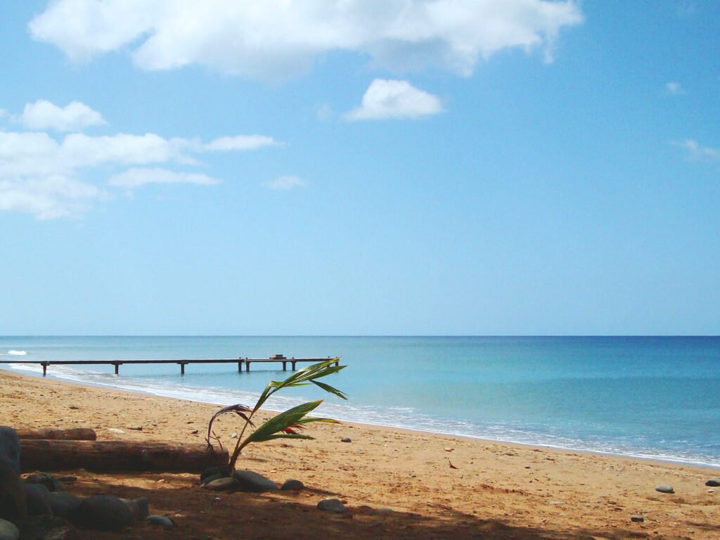 Plage Anse Caraïbes