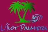 Logo Ilot Palmiers